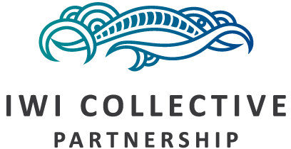 Iwi Collective Partnership